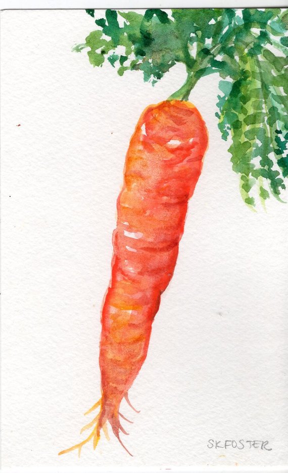 570x934 Carrot Watercolor Paintings Original 4 X 6 Vegetable Artwork Etsy - Carrot Watercolor