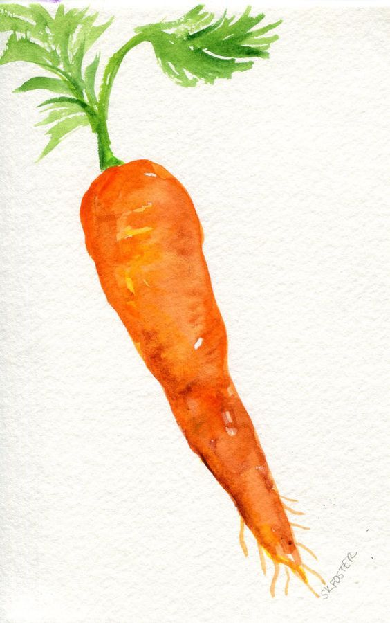 564x900 Carrot Watercolor Paintings Original 4 X 6 Vegetable Artwork - Carrot Watercolor