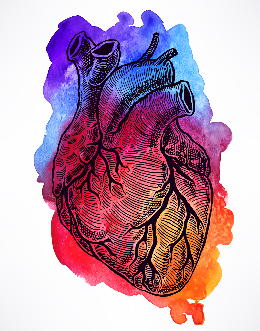 1000x1271 Pennsylvania Catholic Conference Watercolorheart - Catholic Watercolor