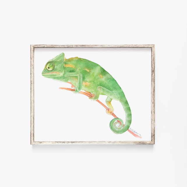 642x642 Chameleon Watercolor Painting 11 X 14 Boys Room Wall Art Etsy - Chameleon Watercolor