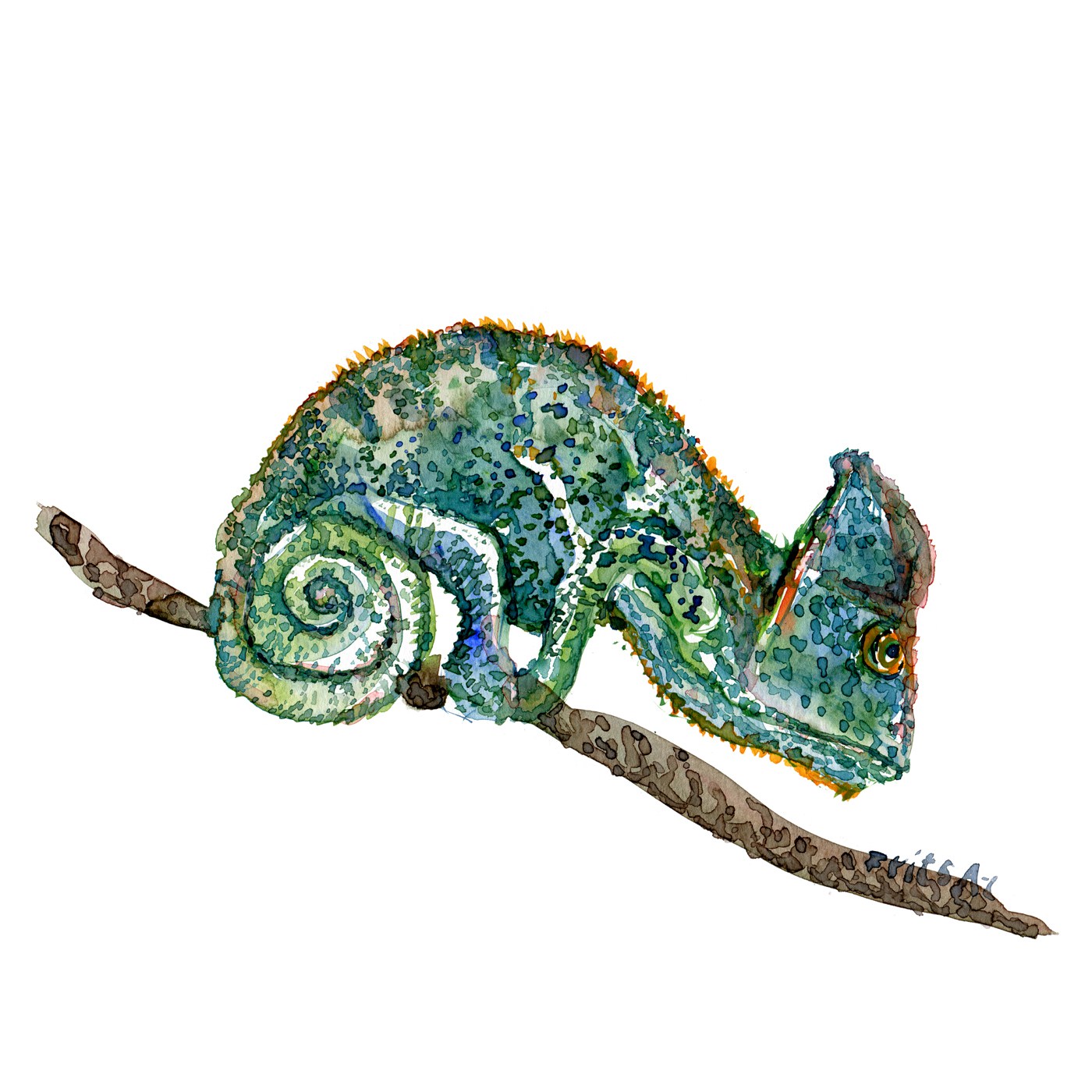 1400x1400 Chameleon Watercolor Sketch Frits Ahlefeldt - Chameleon Watercolor