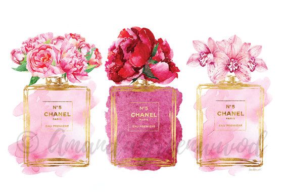 570x380 Perfume Watercolor Flower Peony Art Print, Pink, Gold, Watercolour - Chanel Watercolor