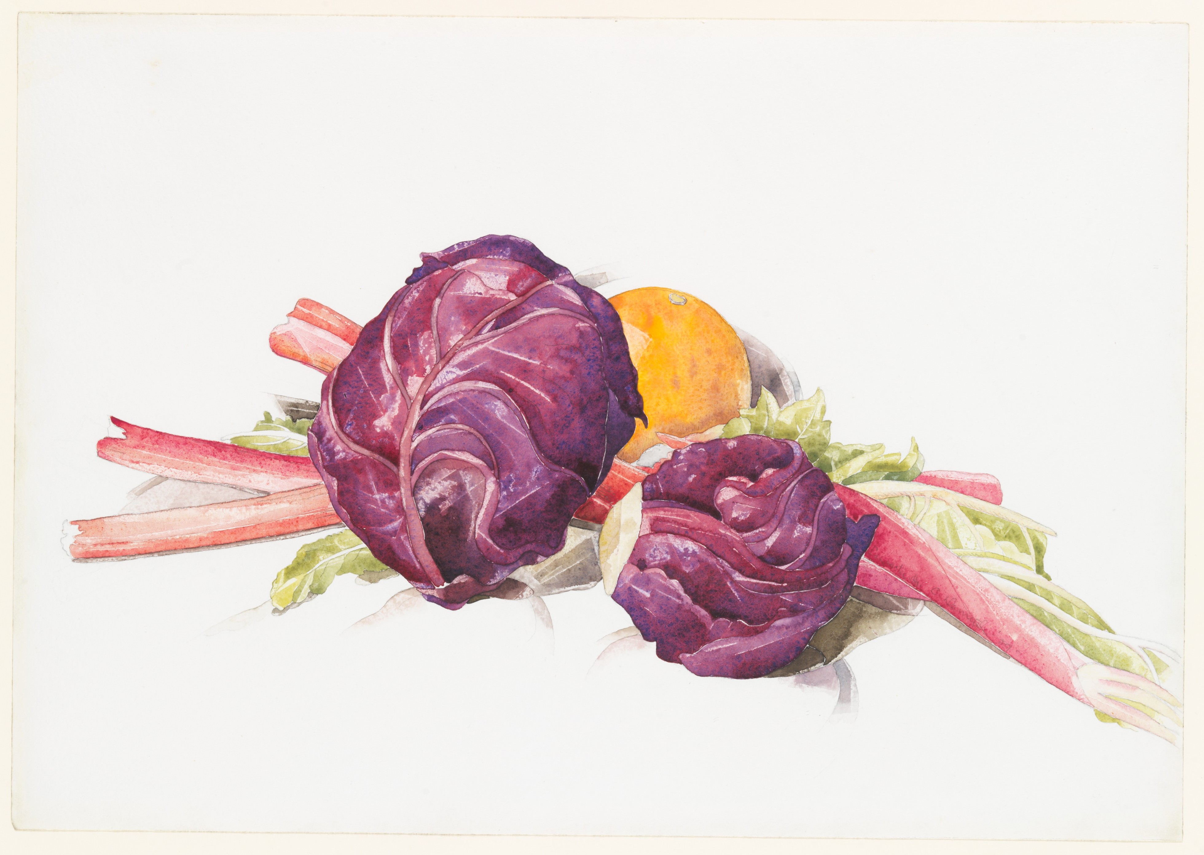 3919x2784 Charles Demuth Red Cabbages, Rhubarb And Orange The Met - Charles Demuth Watercolor Paintings
