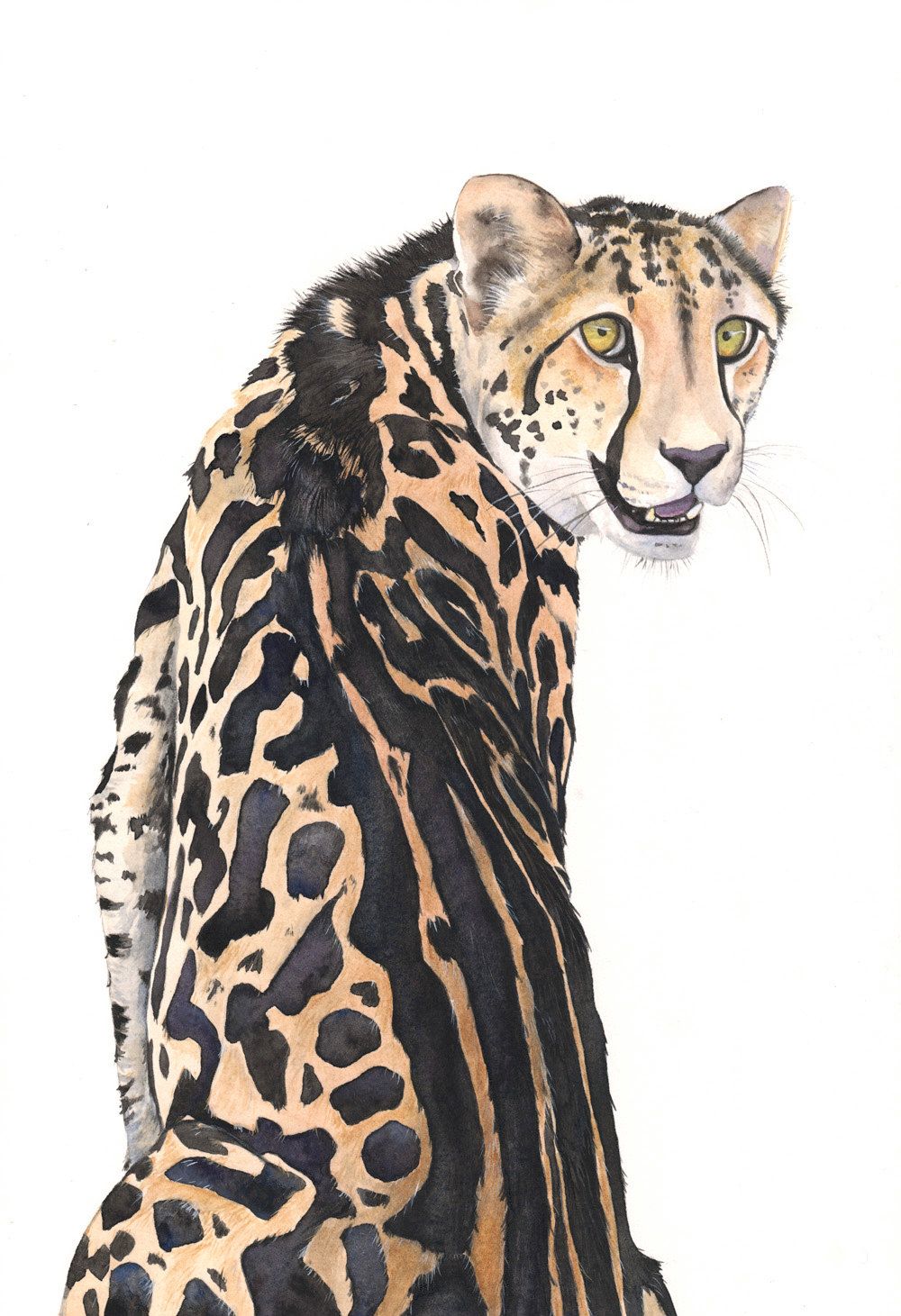 1000x1461 Cheetah Watercolor Painting Louise De Masi In 2018 - Cheetah Watercolor
