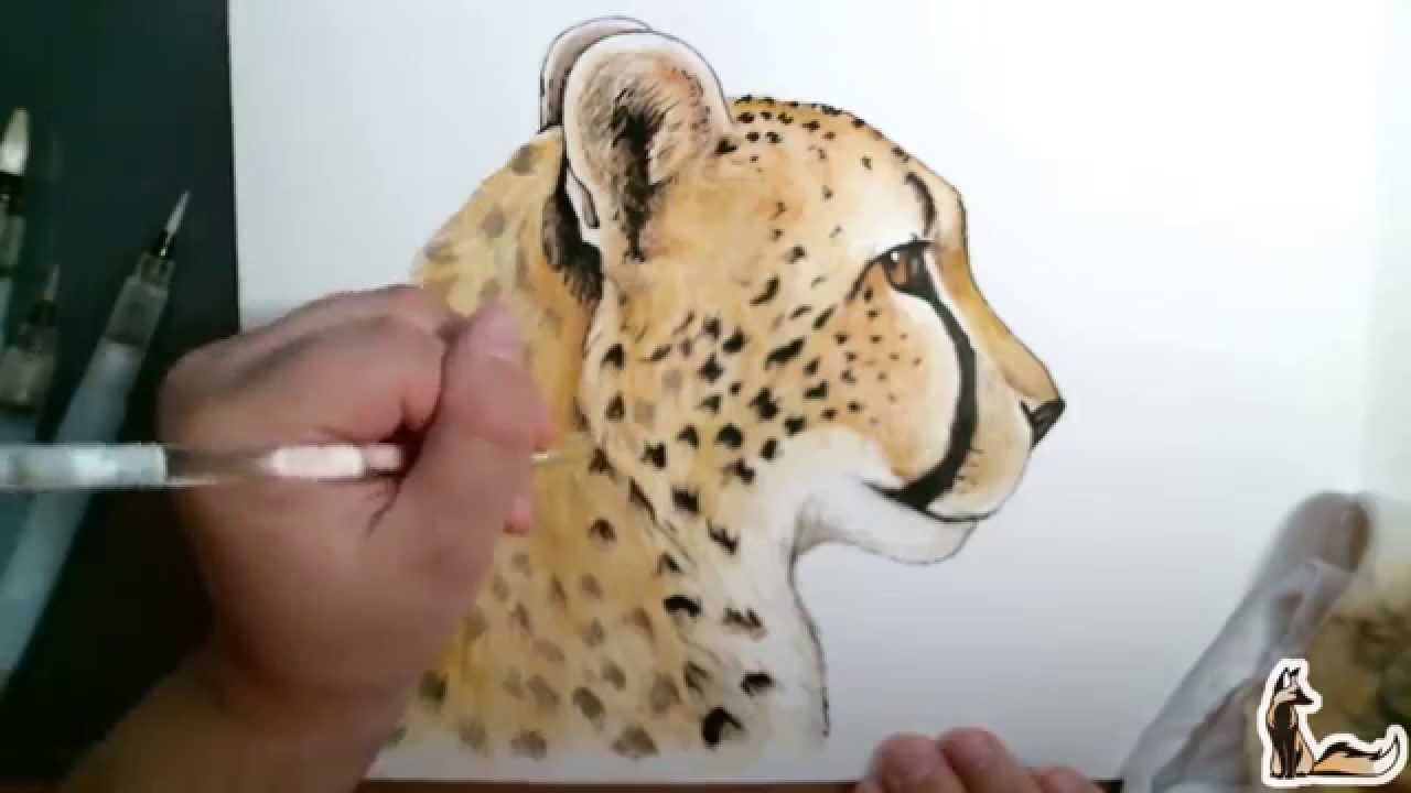 1280x720 Cheetah Watercolor Amp Ink Speed Paint - Cheetah Watercolor