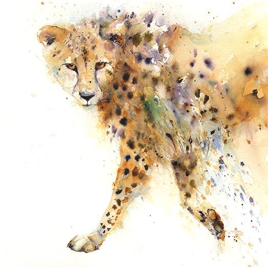 524x524 Prowling Cheetah Limited Edition Print - Cheetah Watercolor
