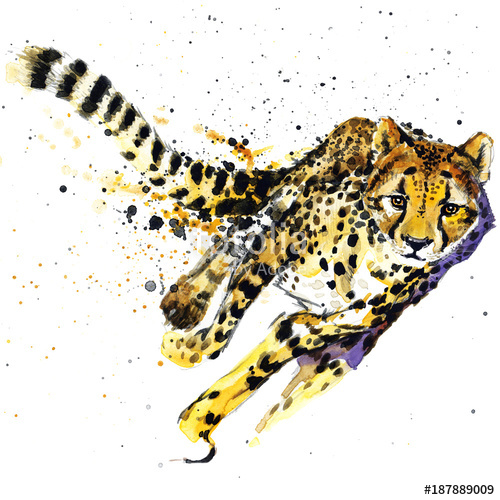 500x500 Cheetah Watercolor Illustration Stock Photo And Royalty Free - Cheetah Watercolor