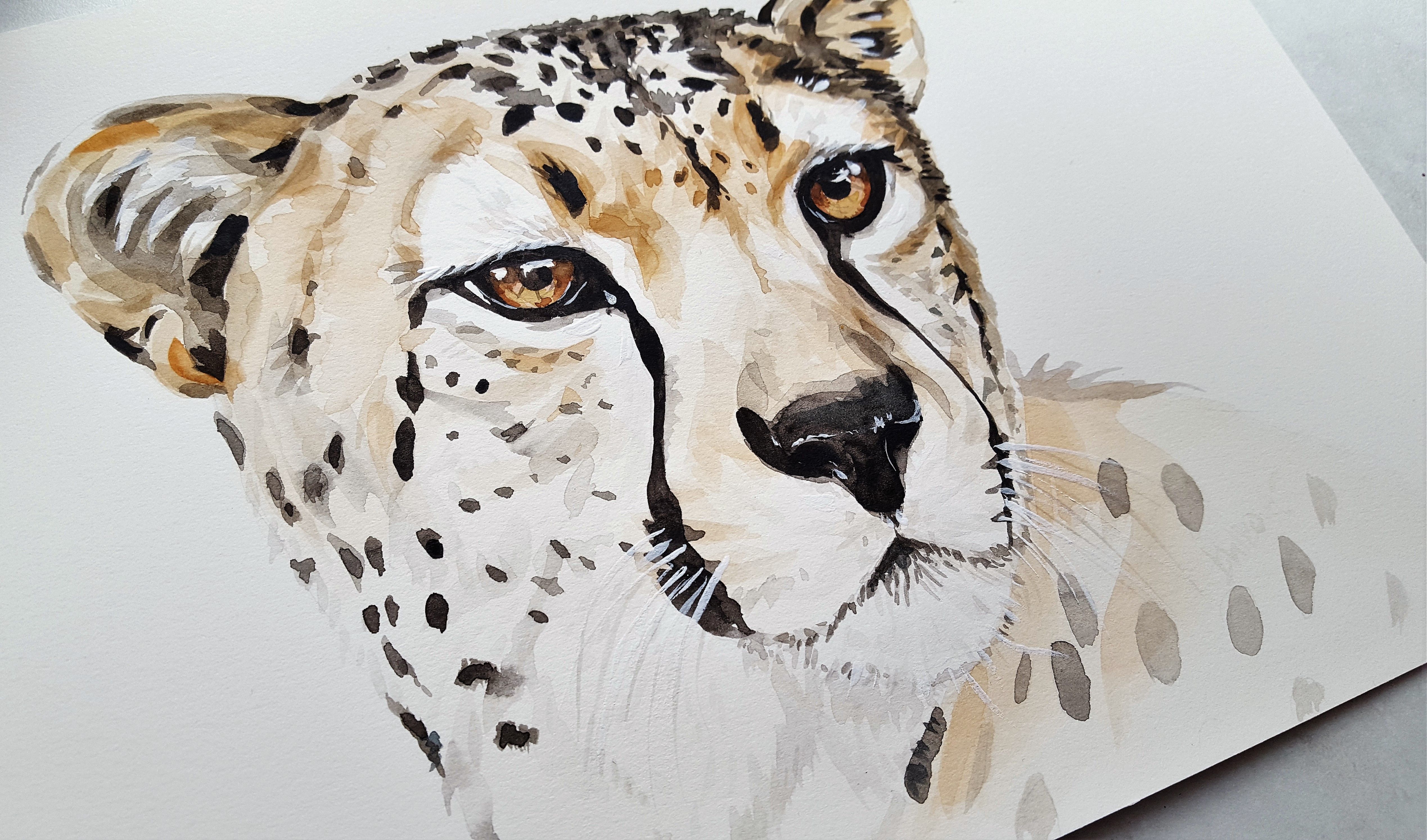 5075x2988 My Art - Cheetah Watercolor