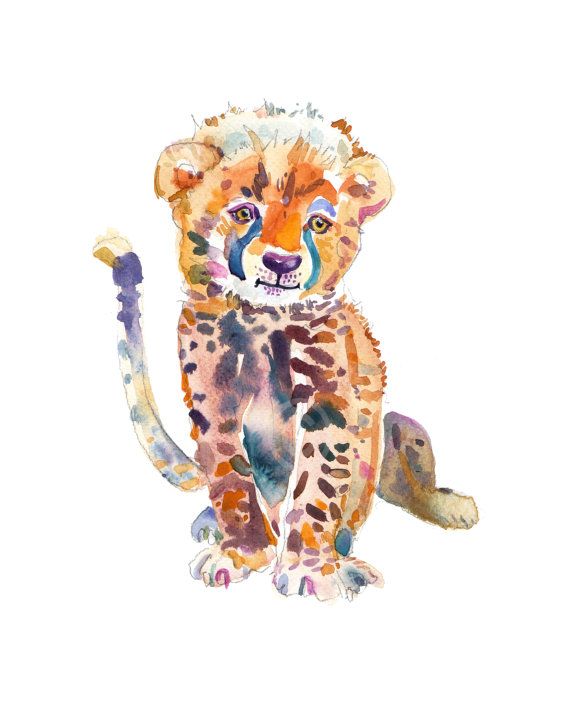 570x713 Cheetah Cub - Cheetah Watercolor