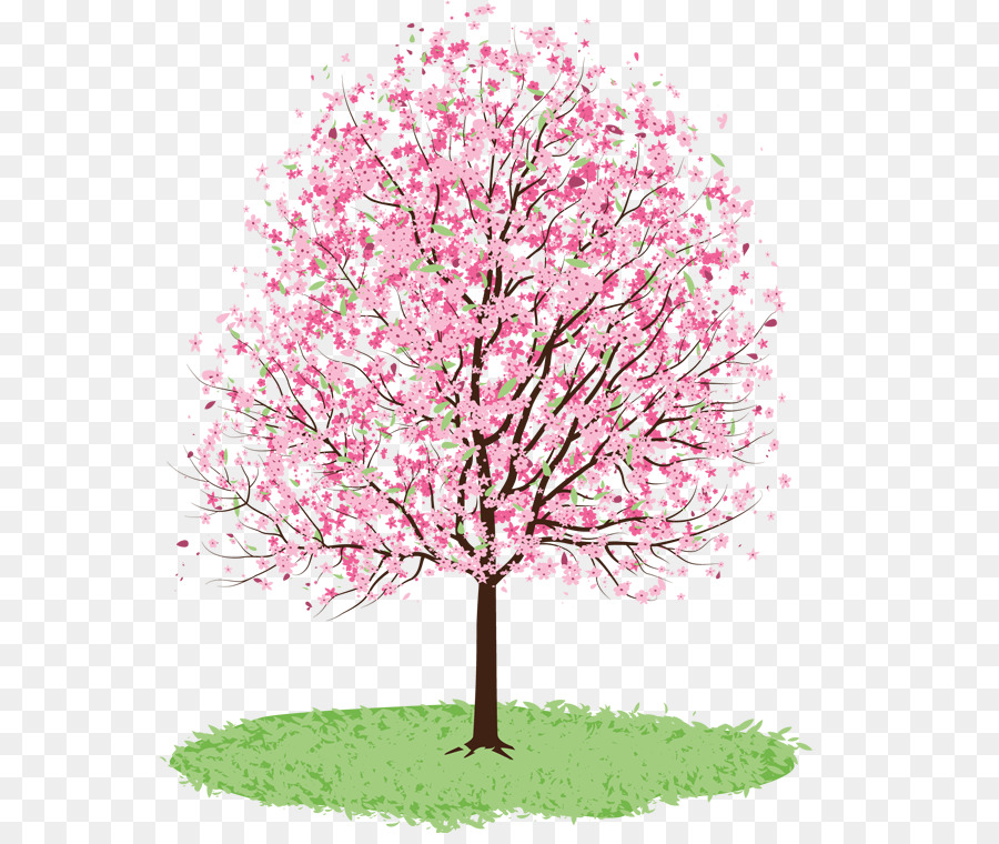 900x760 Cherry Blossom Drawing Tree Watercolor Painting - Cherry Blossom Tree Watercolor