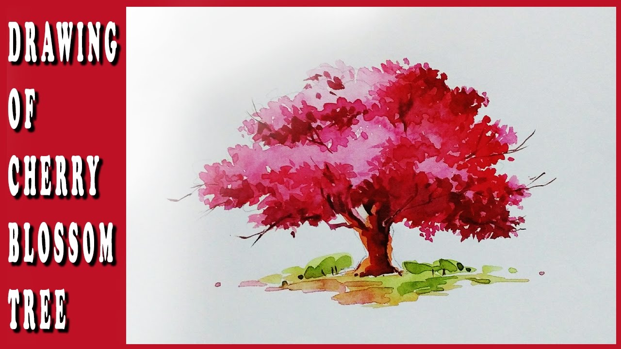 1280x720 How To Draw Cherry Blossom Tree With Watercolor - Cherry Blossom Tree Watercolor