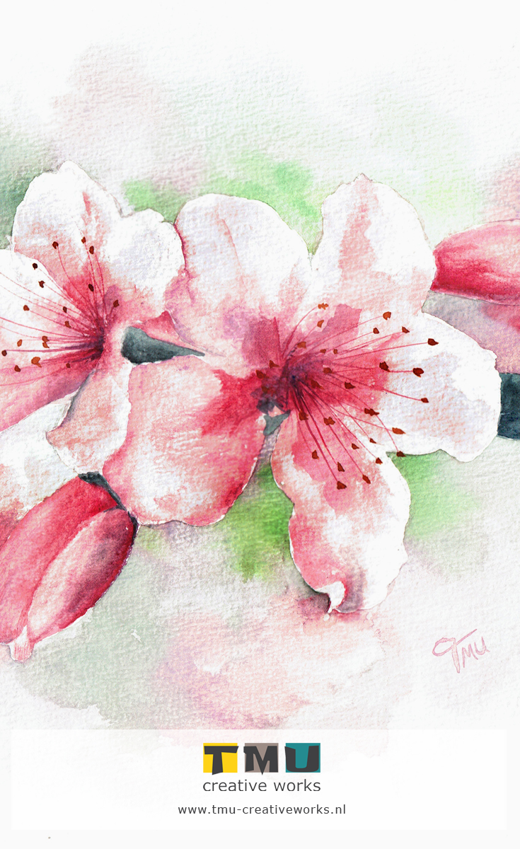735x1200 Cherry Blossoms [Watercolor] Tmu Creative Works Art By Tanja - Cherry Blossom Watercolor