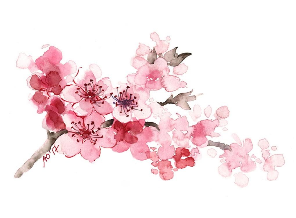 Cherry Blossom Watercolor at PaintingValley.com | Explore collection of ...