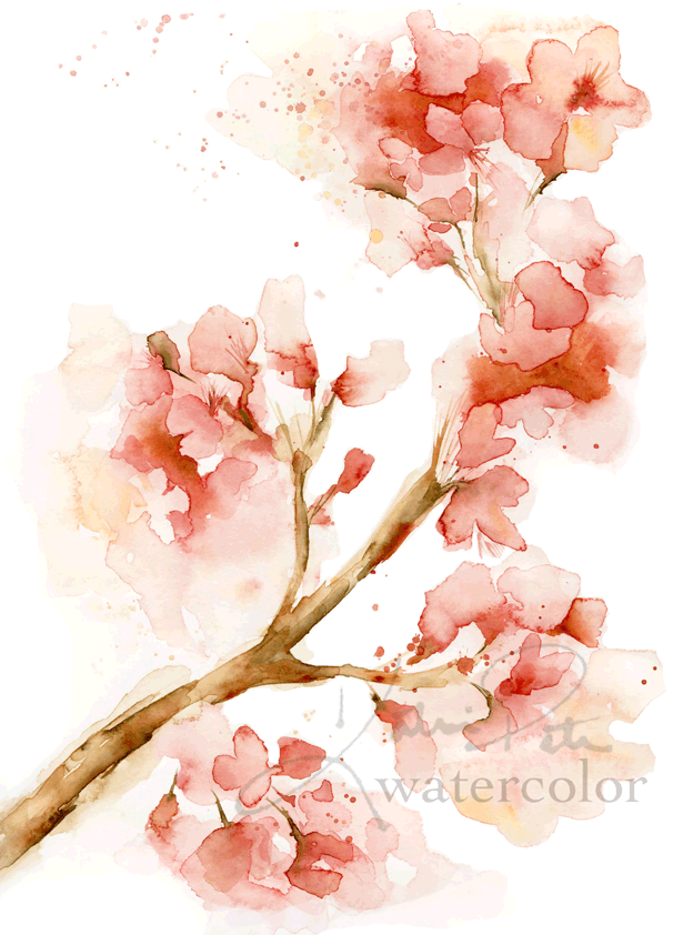 606x842 Katrina Pete - Cherry Blossom Watercolor