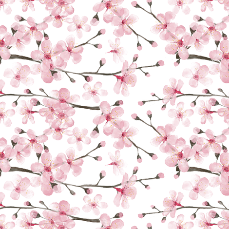 470x470 Cherry Blossom Watercolor Cherry Blossom Floral Wallpaper - Cherry Blossom Watercolor