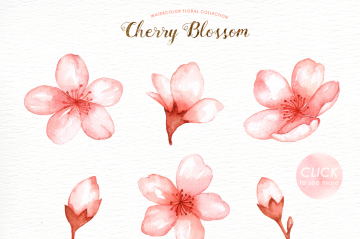 720x479 Cherry Blossom Watercolor Clip Art By Everysunsun - Cherry Blossom Watercolor Art