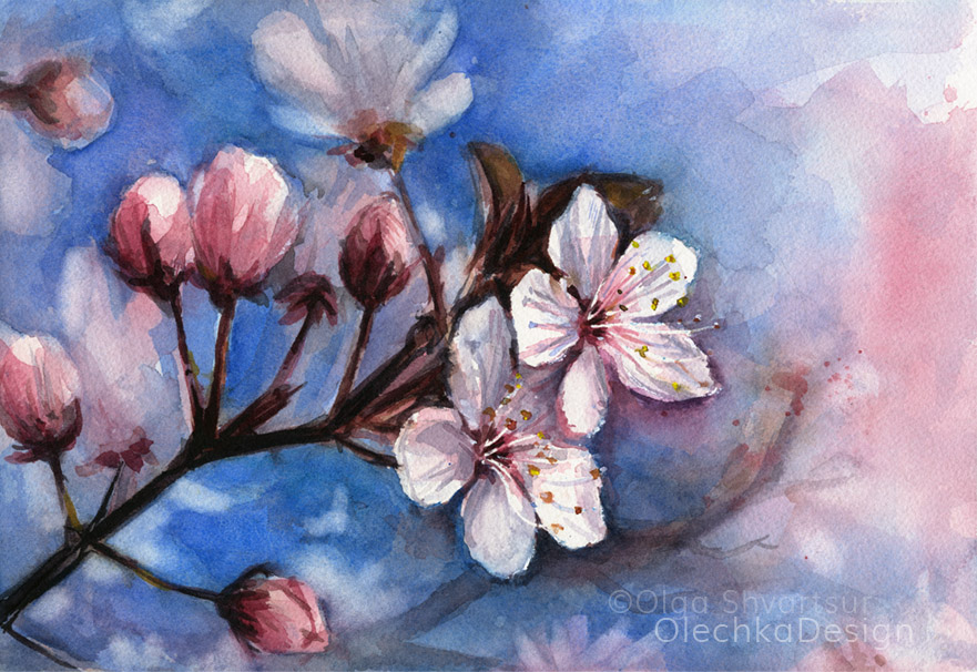 881x606 Cherry Blossoms Watercolor Olechka Design - Cherry Blossom Watercolor Art