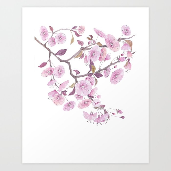 700x700 Cherry Blossoms, Sakura Flower Decor Watercolor Painting Pink Art - Cherry Blossom Watercolor Art