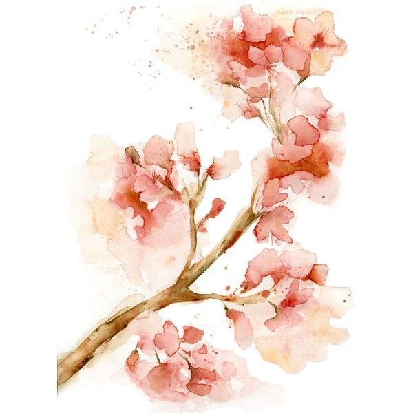 600x600 Watercolor Cherry Blossom Print Of My Watercolor Painting, By - Cherry Blossom Watercolor Art