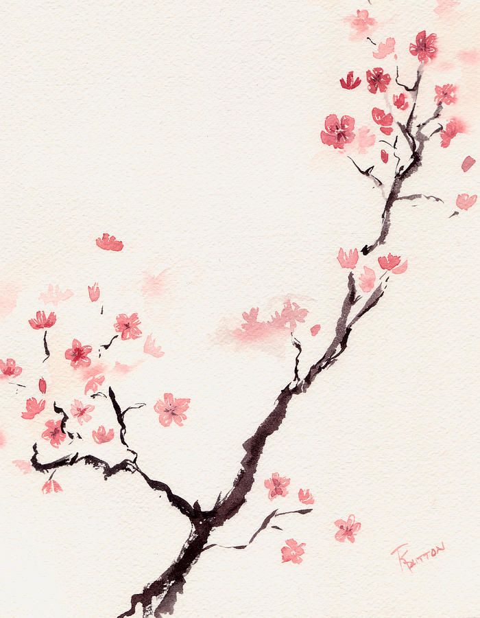 Cherry Blossom Watercolor Art at PaintingValley.com | Explore ...