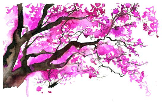 549x350 Chinese Blossom Tree Watercolor Cherry Blossom Tree By Cherry - Cherry Tree Watercolor