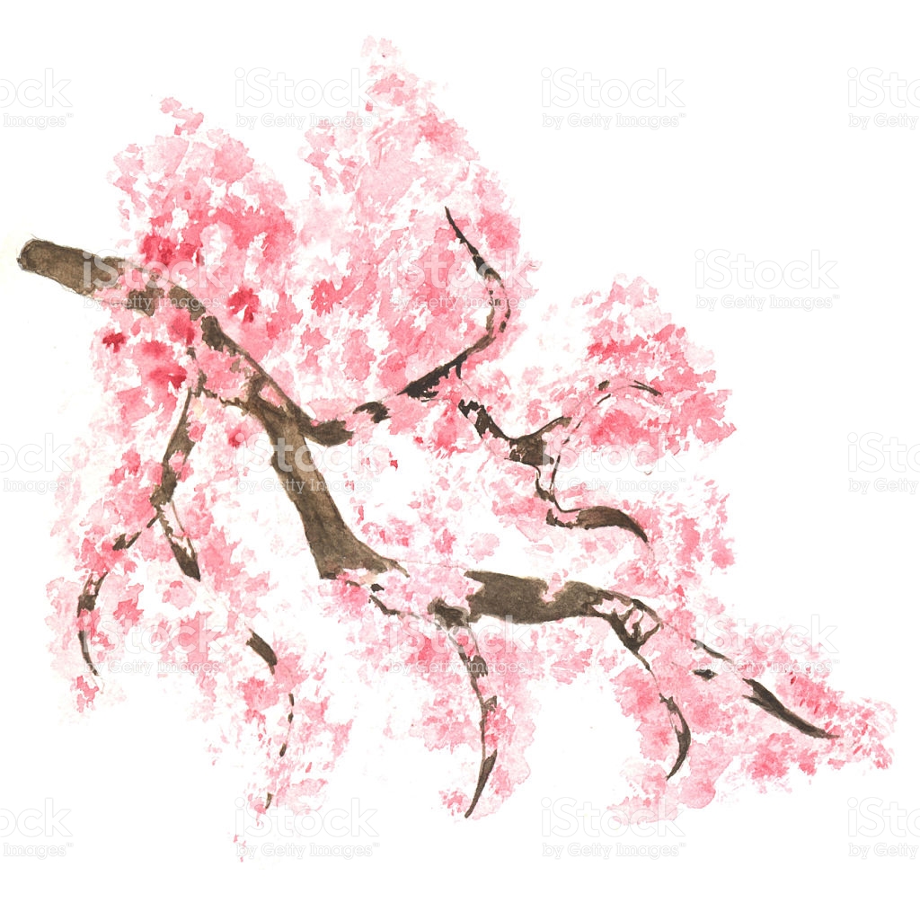1024x1024 Drawn Sakura Blossom Watercolor - Cherry Tree Watercolor