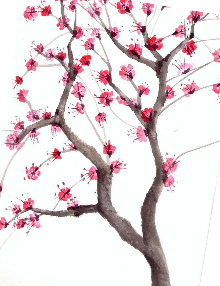 736x956 Drawn Tree Cherry Blossom Tree - Cherry Tree Watercolor