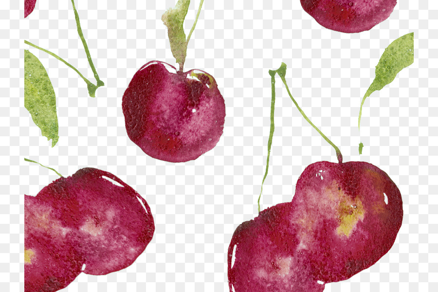 900x600 Cherry Watercolor Painting Illustration - Cherry Watercolor
