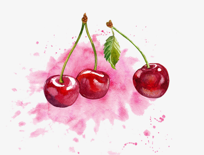 650x494 Watercolor Cherry, Watercolor Clipart, Three Cherries, Hand - Cherry Watercolor