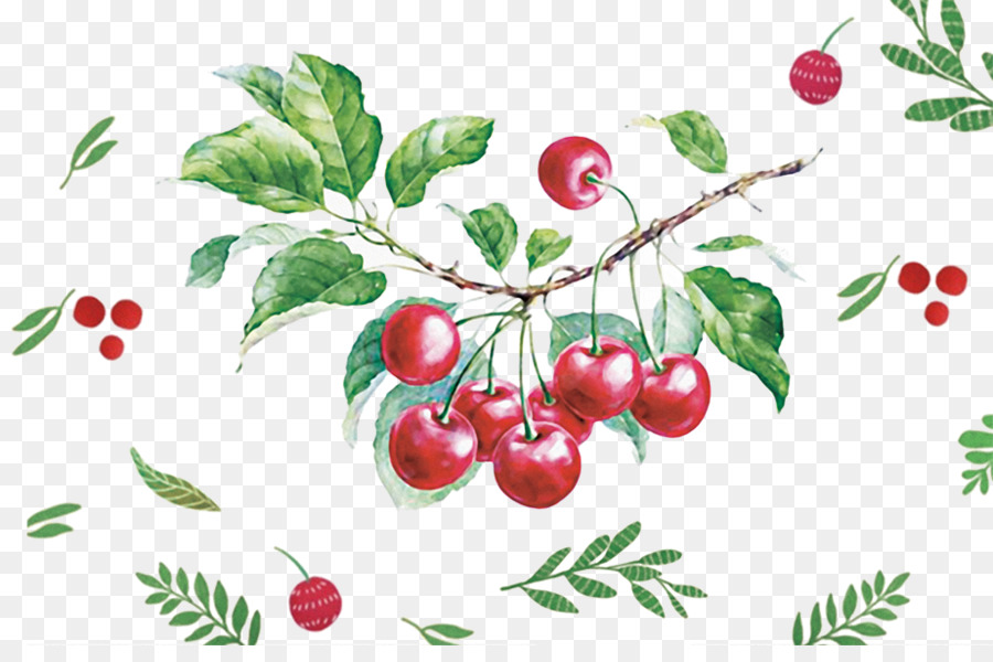 900x600 Watercolor Painting Drawing Fruit Illustration - Cherry Watercolor