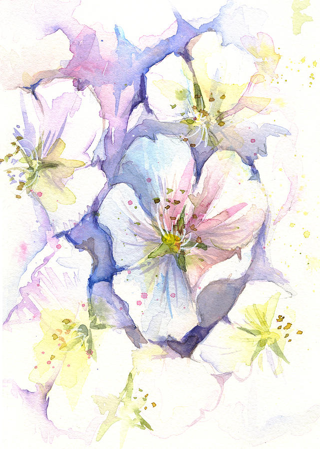 641x900 Cherry Blossoms Watercolor Painting By Olga Shvartsur - Cherry Watercolor