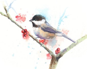 340x270 Chickadee Watercolor Etsy - Chickadee Watercolor