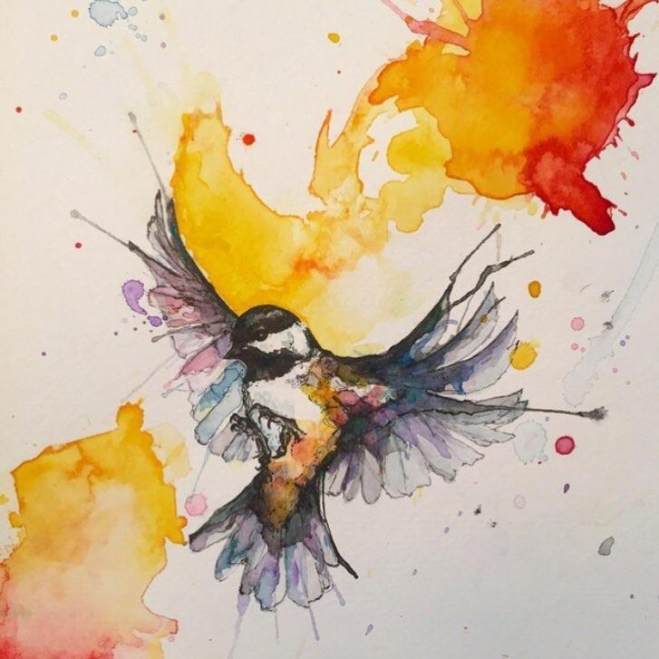 727x727 X Watercolour And Black Ink Art - Chickadee Watercolor
