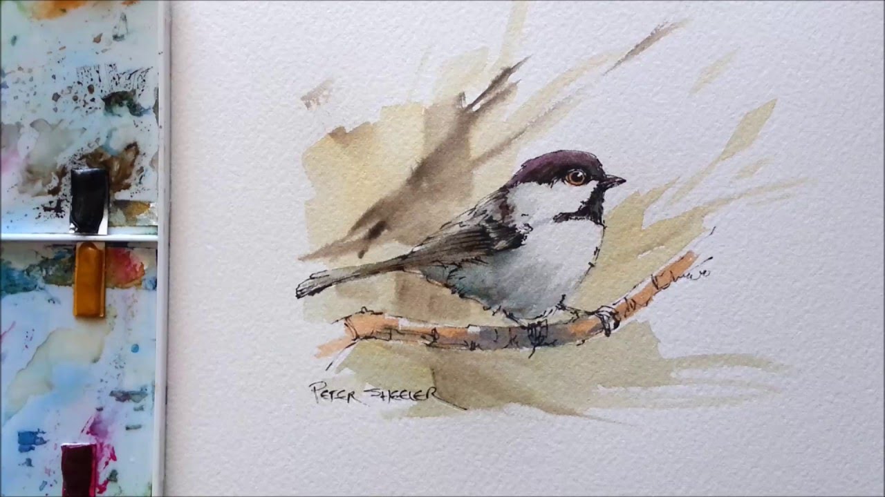 1280x720 Line And Wash Black Capped Chickadee. Great For Begginers In - Chickadee Watercolor