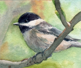 284x238 Watercolor Reflections Watercolor Miniatures - Chickadee Watercolor