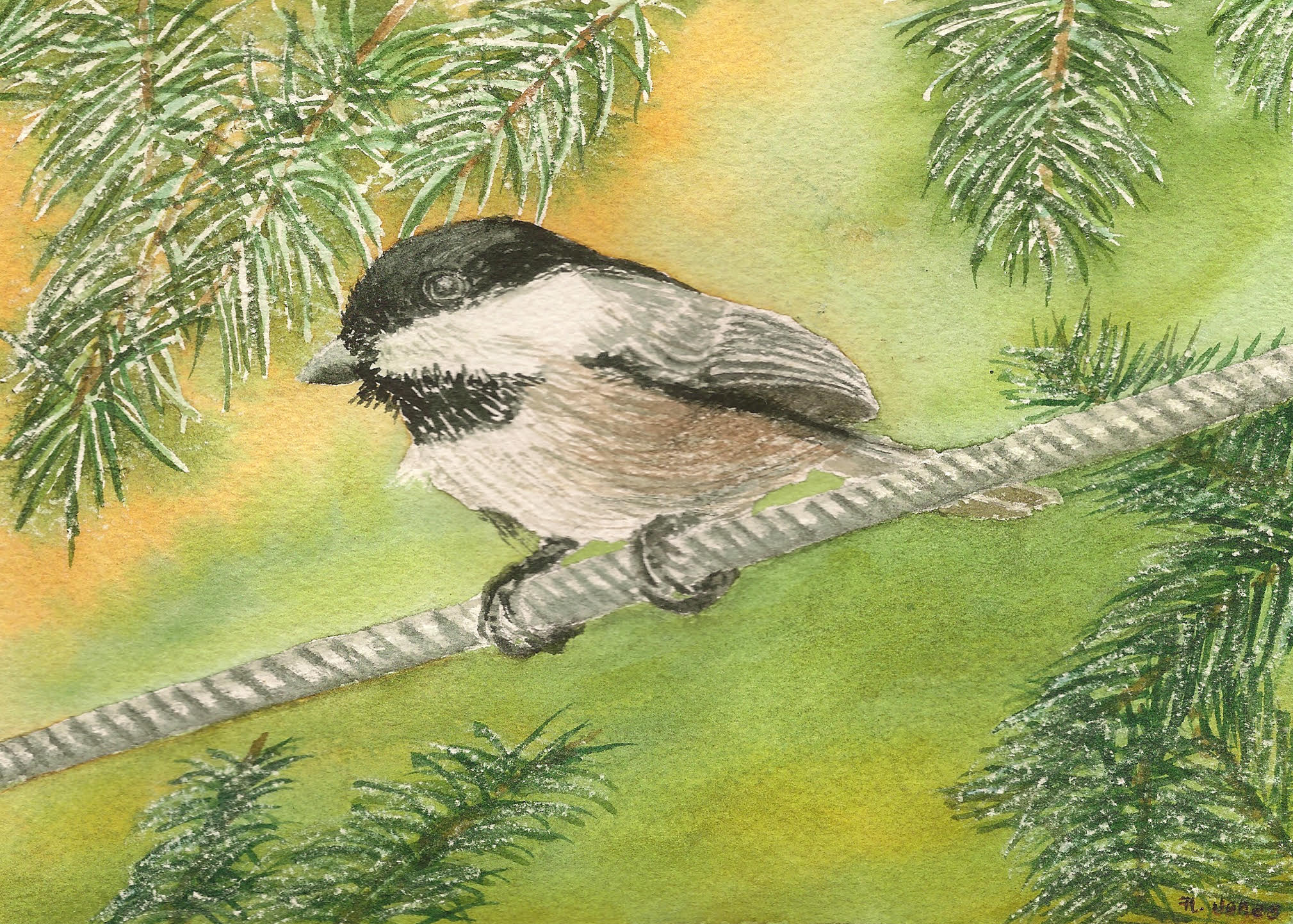 Chickadee Watercolor Painting at PaintingValley.com | Explore ...