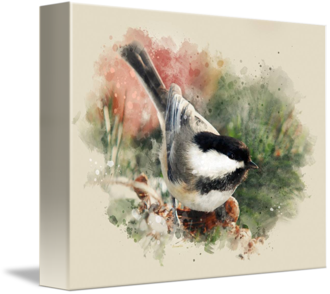 650x579 Chickadee Watercolor Painting By Christina Rollo - Chickadee Watercolor Painting