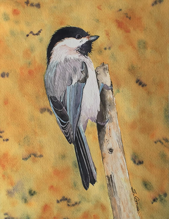 570x739 Chickadee Watercolor Wildlife Painting Nature Art - Chickadee Watercolor Painting