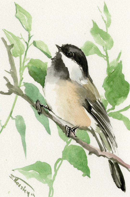 541x820 Chickadee One Of A Kind Original Watercolor Painting, Bird Art - Chickadee Watercolor Painting