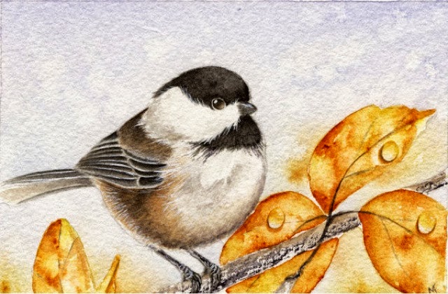 640x420 From The Studio Of Madelaine Fall Colours - Chickadee Watercolor Painting