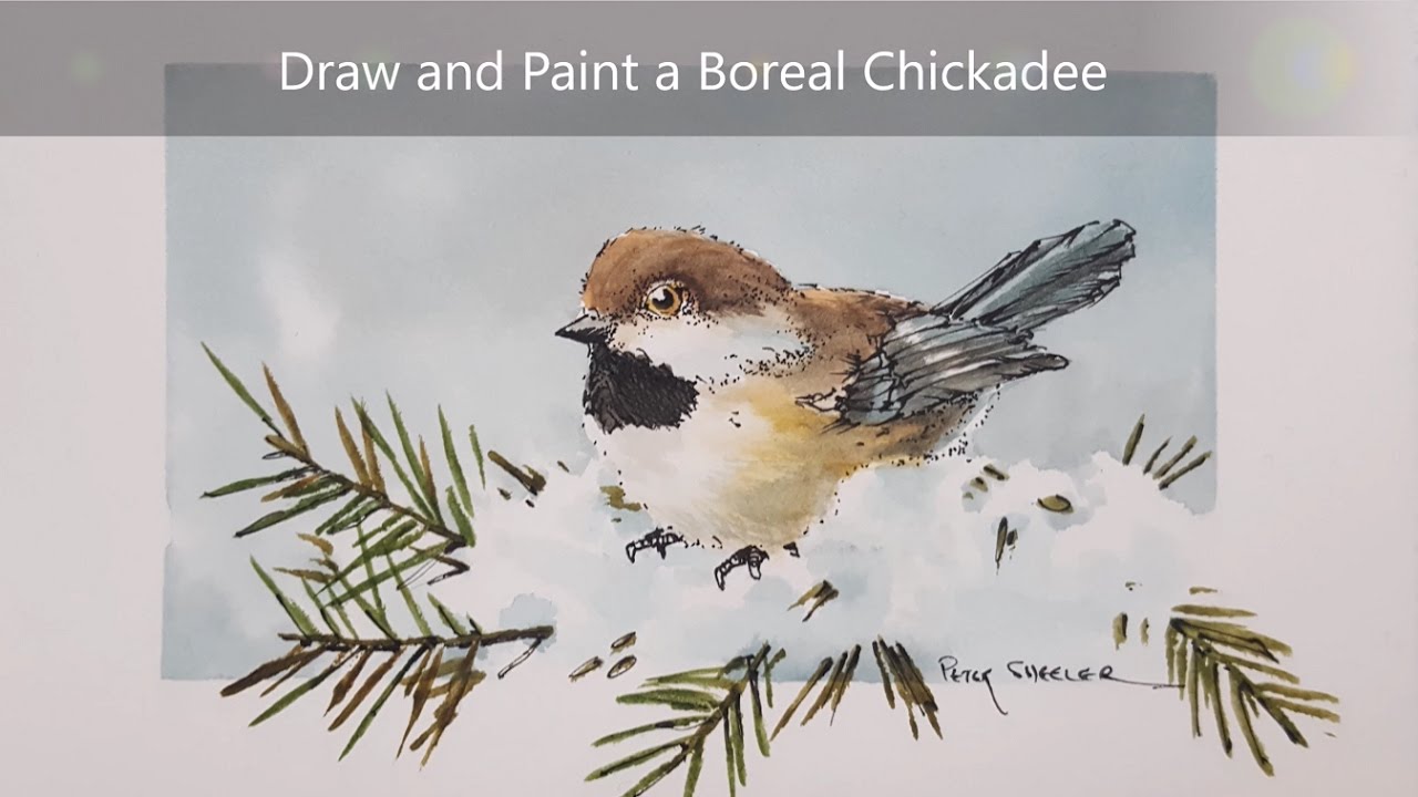 1280x720 How To Draw And Paint A Chickadee. Dry Brush Watercolour And Ink - Chickadee Watercolor Painting