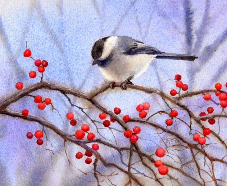 731x600 Barbara Fox - Chickadee Watercolor Painting