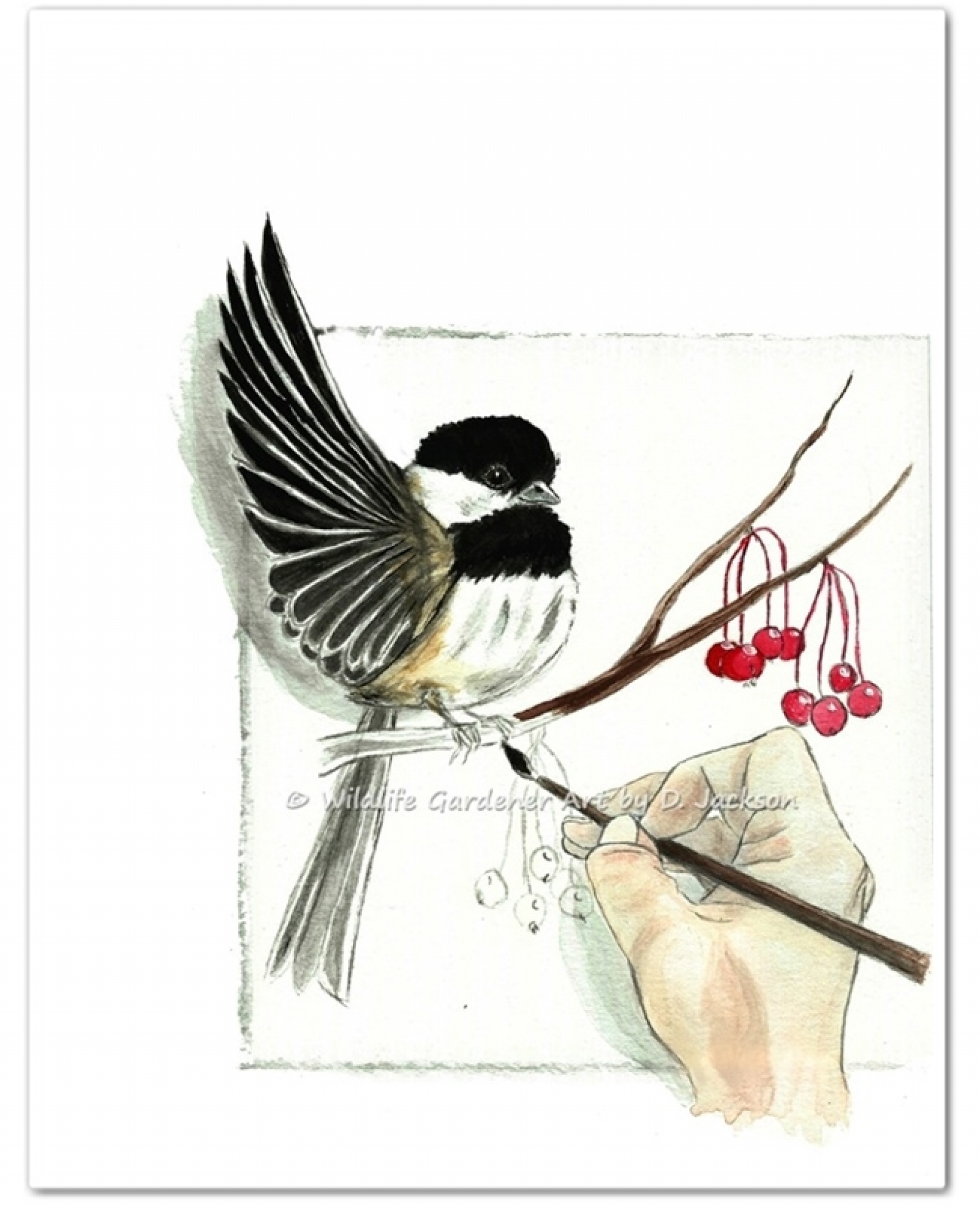 1600x1969 Painting A Chickadee, Watercolor Art Print Wildlife Gardener Art - Chickadee Watercolor Painting