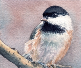 284x239 Watercolor Reflections Watercolor Miniatures - Chickadee Watercolor Painting