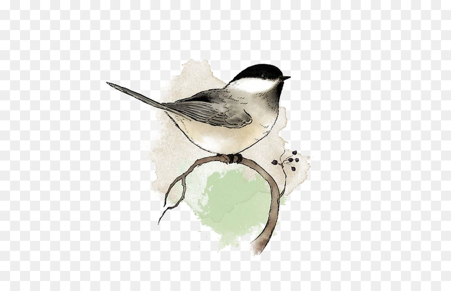 900x580 Bird Watercolor Painting Chickadee Drawing - Chickadee Watercolor Painting