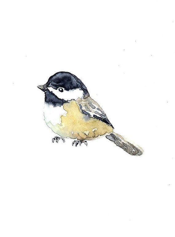 570x773 Chickadee Bird Original Watercolor Painting By Mydrops On Etsy - Chickadee Watercolor Painting