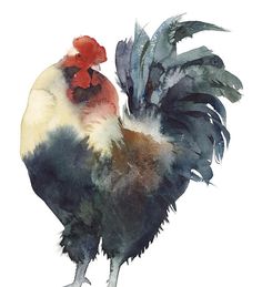 236x259 The True Power Of Watercolor... Botanical Watercolor - Chicken Watercolor Paintings