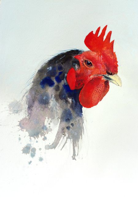450x652 Watercolor Chicken Art Watercolor Watercolor, Bird - Chicken Watercolor Paintings