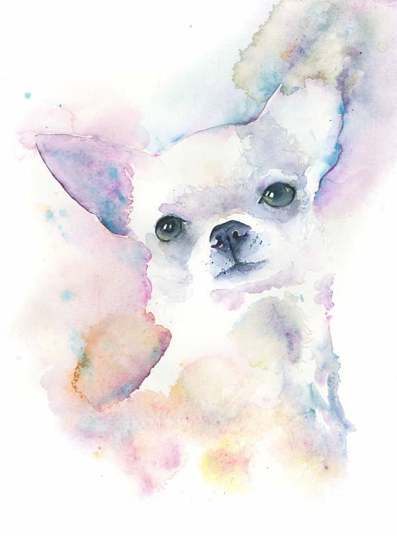 570x769 Chihuahua Dog Paintingchihuahua Art Printpet Portrait Petit - Chihuahua Watercolor