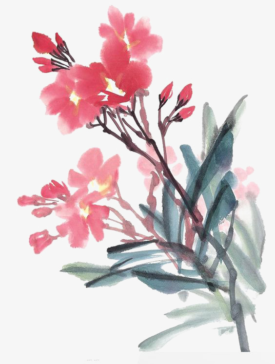 564x747 Ink Flowers, Chinese Style, Chinese Painting, Watercolor Flowers - Chinese Watercolor Flowers